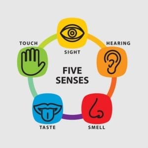 five-senses-icon-set_62147502195