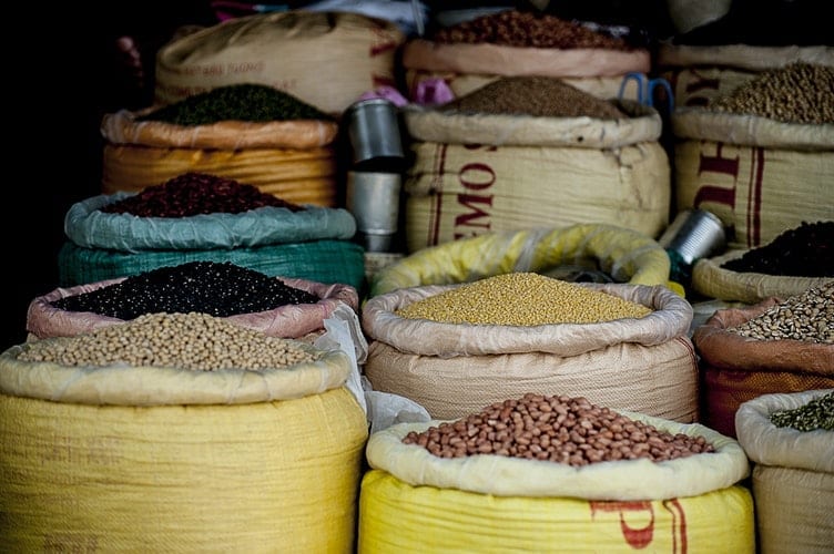 lectins