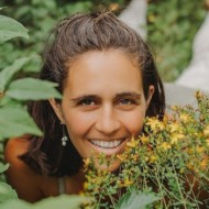 Lynne Taillefer