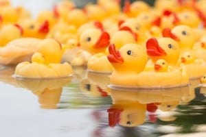shutterstock_152647274