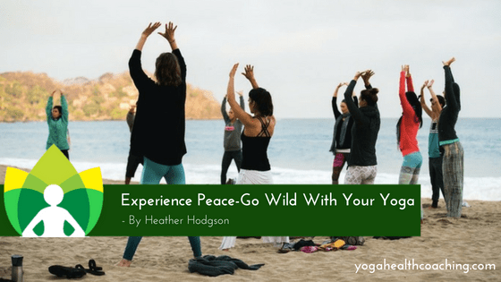 Experience Peace-Go Wild With Your Yoga